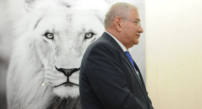 האריה נצפה מגן על גבו של דוד ברודט, יו"ר הבנק