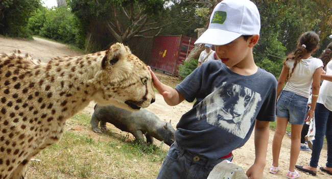 אריה על ילד לקוי ראייה מסתכל על צ'יטה בובה שאותה הילד מלטף