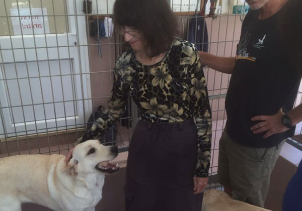 גניה איתן, סגנית מנהלת מחלקה בישראכרט, בעת ביקור שערכו המתנדבים עם המטופלים בבית ספר לכלבי נחיה