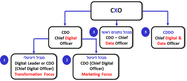 מיפוי תפקידי ה-CDO