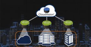 Any Cloud Platform. אריסטה נטוורקס. צילום: יח"צ