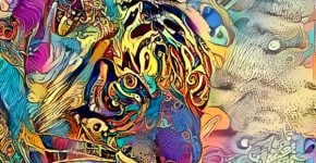 עיבוד למידה עמוקה באמצעות Deep Dream Generator. קרדיט: דרור בן דוד