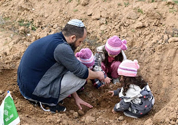 ט"ו בשבט הגיע, חג לאילנות - אבל גם לנוטעים. צילום: כרמית מרי 