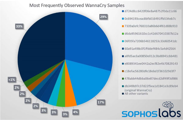 הגרסאות הנפוצות ביותר של WannaCry. מקור: סופוס