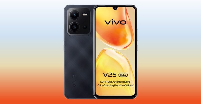 עיצוב מוצלח. Vivo V25.